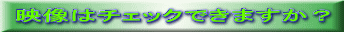 映像はチェックできますか？ 